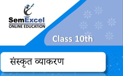Sanskrit Grammar | Class 10